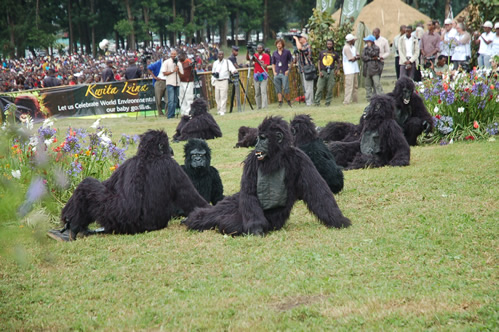 Baby Gorilla Naming Ceremony In Rwanda Kwita Izina Day