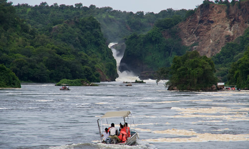 12 days best of Uganda safari