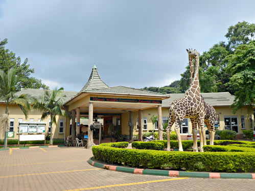 Entebbe Zoo Entrance Fee - Uganda Wildlife Education Centre Animals ...