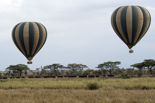 Serengeti National Park in Tanzania – Facts, Wildlife and History