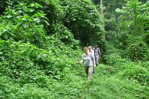 Gorilla trekking with Children