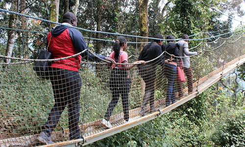 Top things to do in Rwanda - Activities and Tourist Attractions in Rwanda