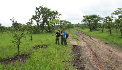 National Parks in Congo - List of Game parks in DRC