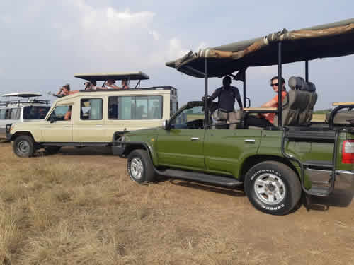 Best Time of the year for a safari in Uganda