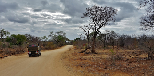 Best time to visit Uganda on a safari