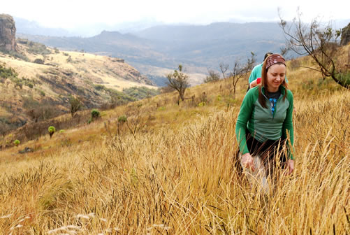 Climbing Mount Elgon