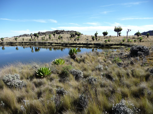 Mount Elgon Peak